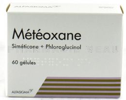 METEOXANE - 60 Gélules