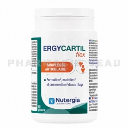 Nutergia - Ergycartyl Flex - Souplesse Articulaire - 90 Gélules
