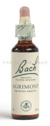 Fleur de Bach Aigremoine / Agrimony - Flacon compte-gouttes 20 ml
