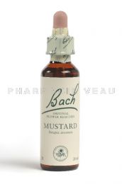 Fleur de Bach Moutarde / Mustard - Flacon compte-gouttes 20 ml