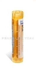 RHUS TOXICODENDRON CH Tube granules - Homéopathie 