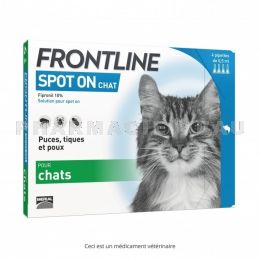 FRONTLINE Spot On CHAT 4 pipettes