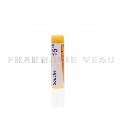 EQUISETUM HIEMALE Dose globules Pharmacie VEAU Fra