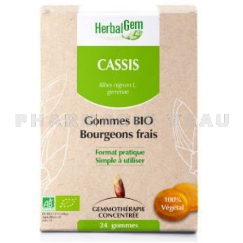 HERBALGEM Gommes de Bourgeons de CASSIS Ribes nigrum (24 gommes)