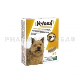 Veloxa Vermifuge chien comprimés à croquer équivalent Drontal