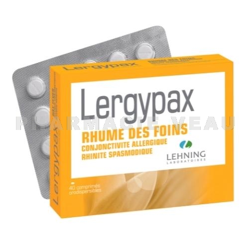 LERGYPAX Lehning 2x20 comprimés