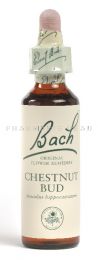 Fleur de Bach Bourgeon de Marronnier / Chestnut Bud  - Flacon compte-gouttes 20 ml