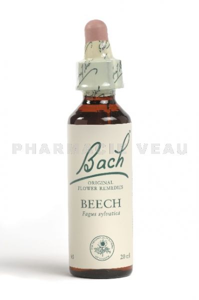 Fleur de Bach Hêtre / Beech - Flacon compte-gouttes 20 ml