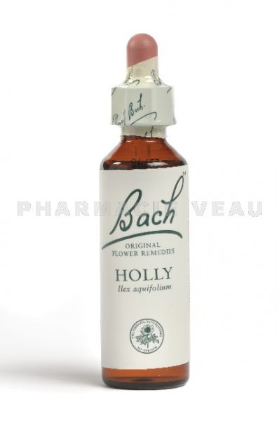 Fleur de Bach Houx / Holly - Flacon compte-gouttes 20 ml