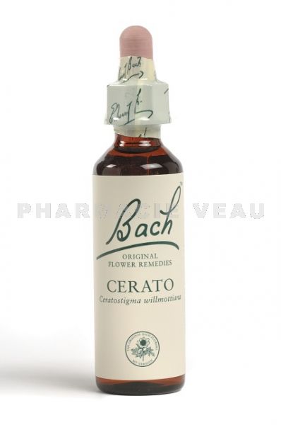 Fleur de Bach Plumbago / Cerato - Flacon compte-gouttes 20 ml