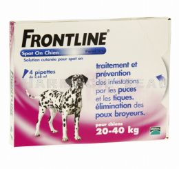 FRONTLINE Spot-on Chien L  : de 20 à 40 kg 4 pipettes