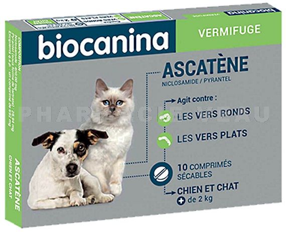 ASCATENE Biocanina 10 Comprimés